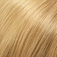 24B22RN (Light Natural Blonde and Light Natural Gold Blonde Blend Renau Natural)