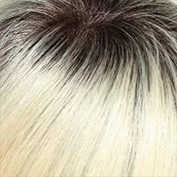 613/102S8 (Pale Natural Gold Blonde and Pale Platinum Blonde Blend Shaded with Med Brown)