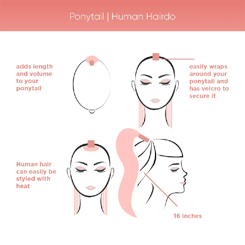 Ponytail | Human Hairdo